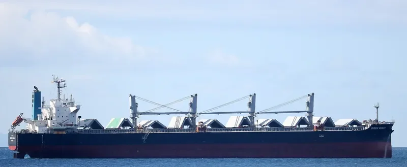 QUEEN BUSAN Bulk Carrier IMO 9420320 photo 5