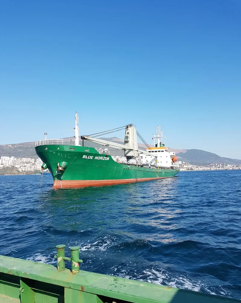 BLUE H General Cargo IMO 9420394 photo 8