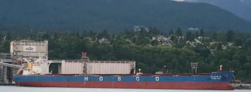 HEBEI NO.1 Bulk Carrier IMO 9420564