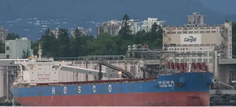 HEBEI NO.1 Bulk Carrier IMO 9420564 photo 2