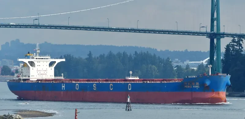 HEBEI KING Bulk Carrier IMO 9420605 photo 2