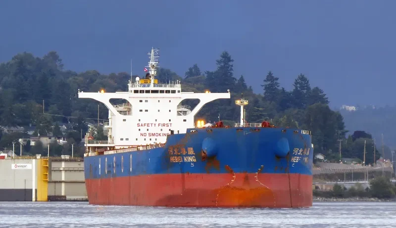HEBEI KING Bulk Carrier IMO 9420605 photo 3