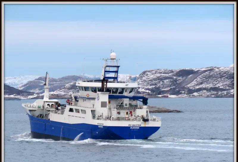 RO MASTER General Cargo IMO 9420679 photo 6