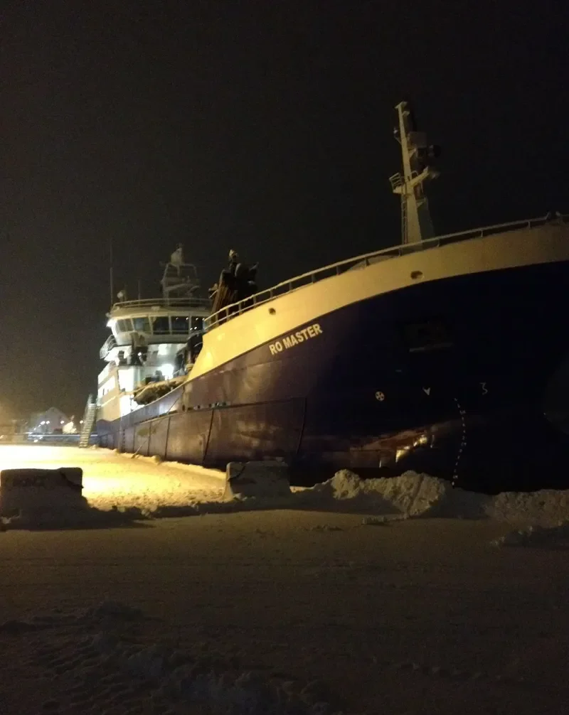 RO MASTER General Cargo IMO 9420679 photo 7