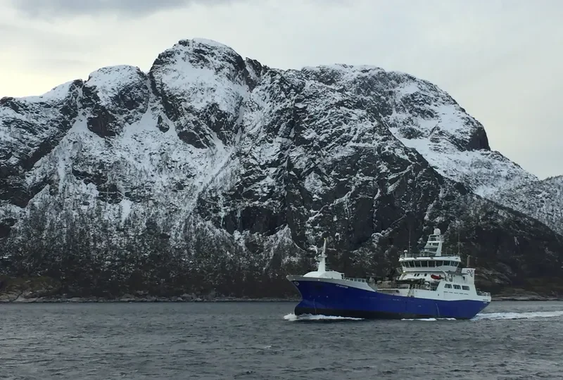 RO MASTER General Cargo IMO 9420679 photo 9