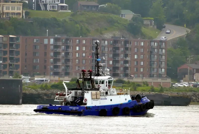 OCEAN HENRY BAIN General Cargo IMO 9420916 photo 5