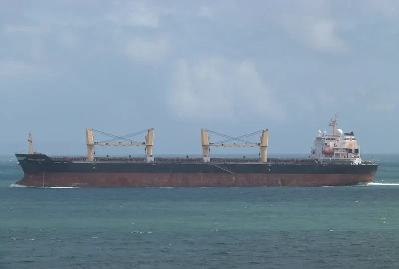 WOOYANG HERMES Bulk Carrier IMO 9421257