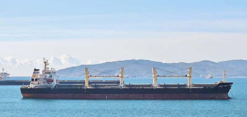 WOOYANG HERMES Bulk Carrier IMO 9421257 photo 5