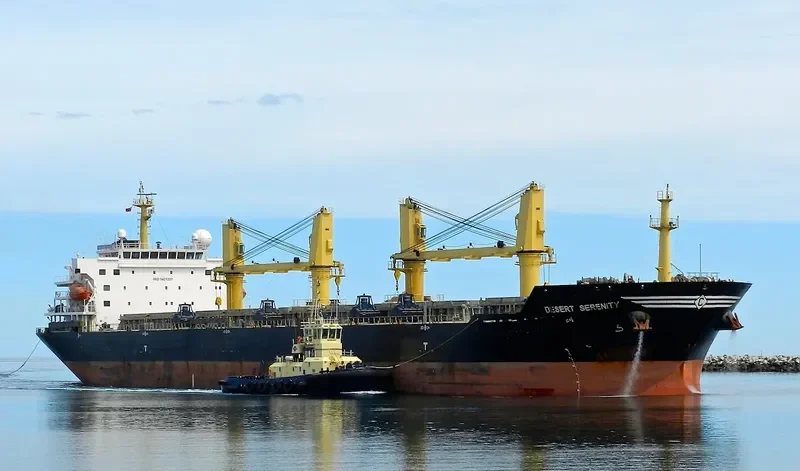 WOOYANG HERMES Bulk Carrier IMO 9421257 photo 7