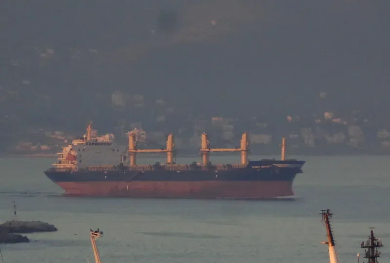 WOOYANG HERMES Bulk Carrier IMO 9421257 photo 10