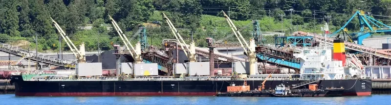 ALBATROSS ISLAND Bulk Carrier IMO 9421439