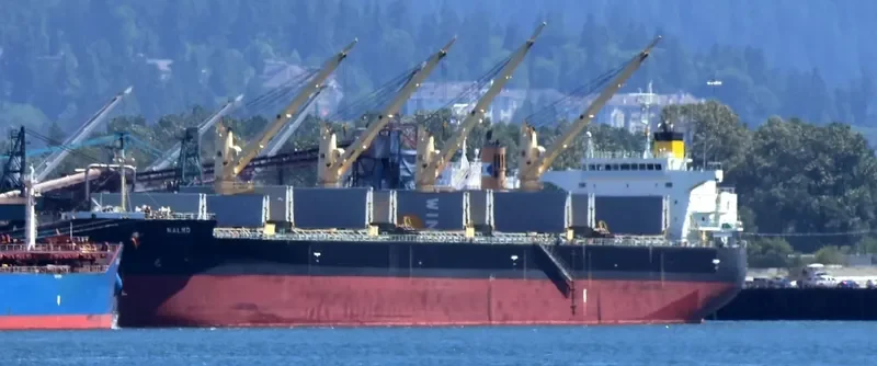 ALBATROSS ISLAND Bulk Carrier IMO 9421439 photo 3