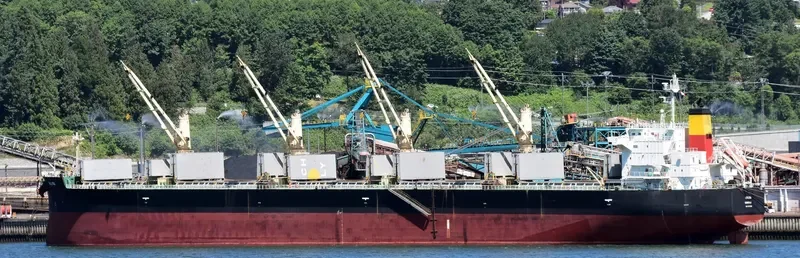 ALBATROSS ISLAND Bulk Carrier IMO 9421439 photo 4