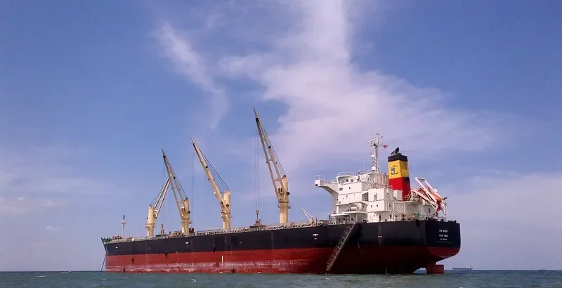 ALBATROSS ISLAND Bulk Carrier IMO 9421439 photo 6