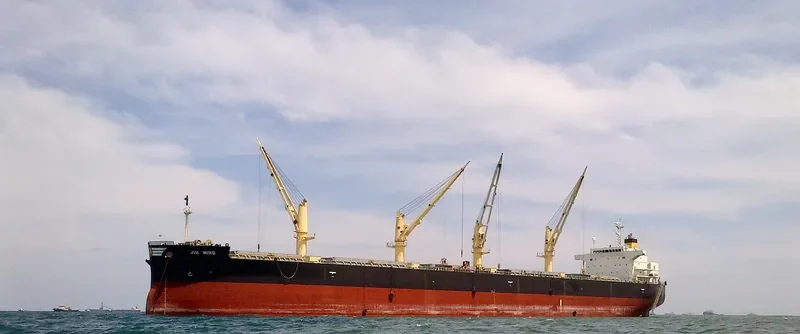 ALBATROSS ISLAND Bulk Carrier IMO 9421439 photo 8