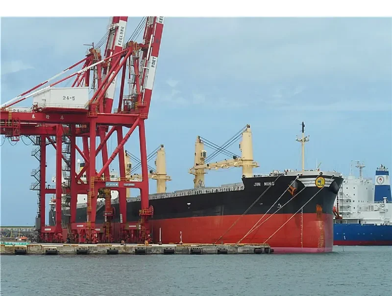 ALBATROSS ISLAND Bulk Carrier IMO 9421439 photo 10