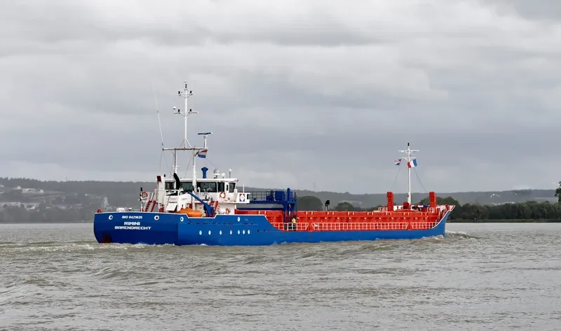 RIMINI General Cargo IMO 9421635 photo 8