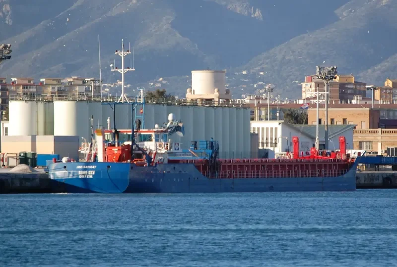 EEMS SKY General Cargo IMO 9421647 photo 10