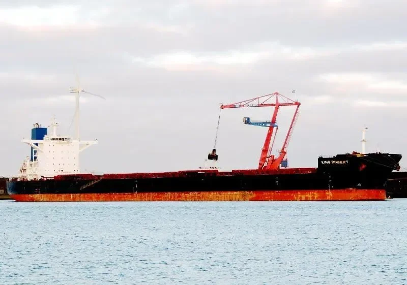 LADYCHARM Bulk Carrier IMO 9421843 photo 3