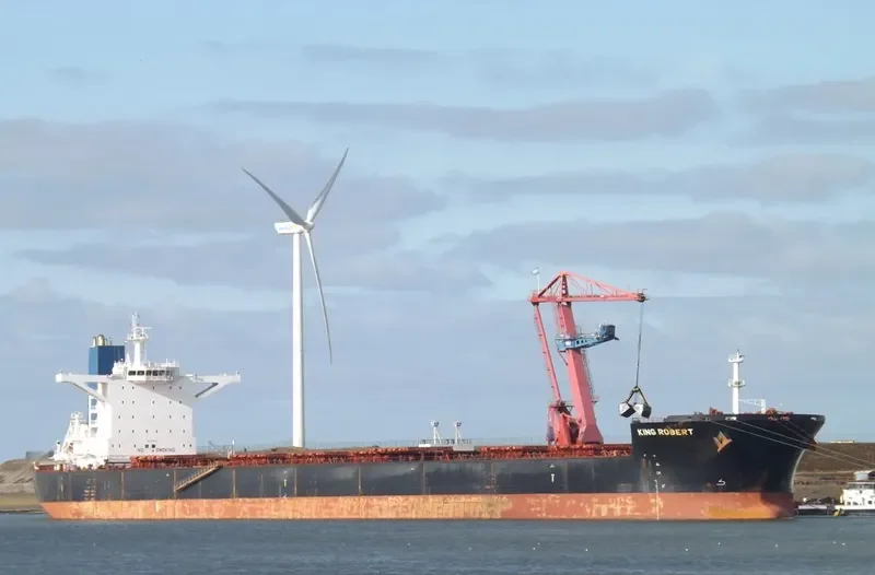 LADYCHARM Bulk Carrier IMO 9421843 photo 8