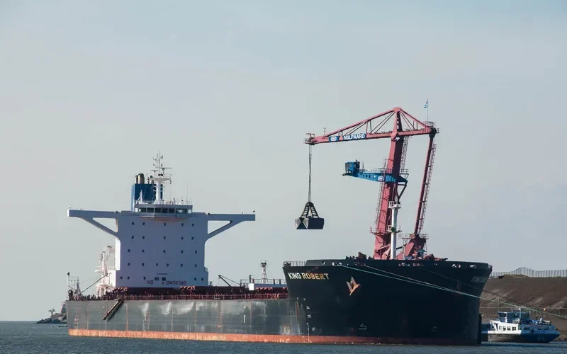 LADYCHARM Bulk Carrier IMO 9421843 photo 10