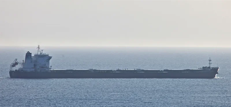 PAGANINI Bulk Carrier IMO 9422328 photo 4