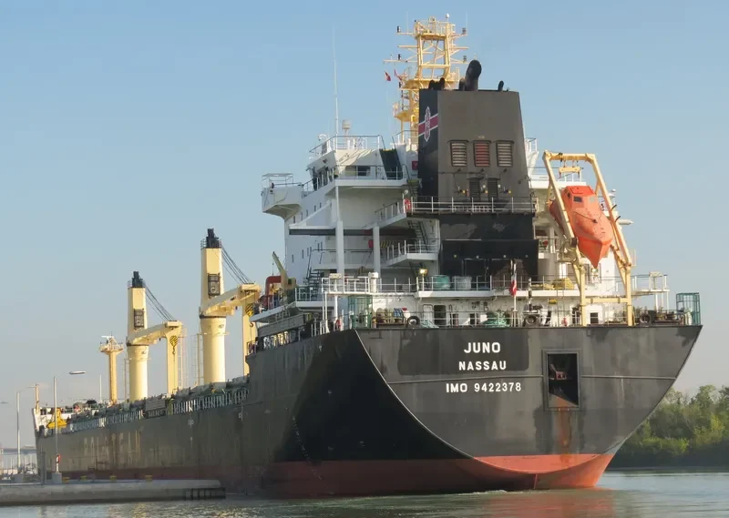 JUNO Bulk Carrier IMO 9422378