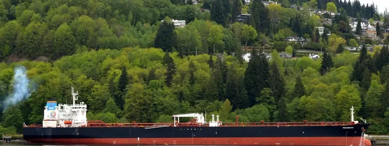 PICHINCHA Tanker IMO 9422407 photo 6