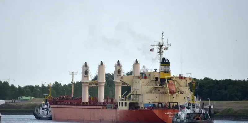 VANTAGE REEF Bulk Carrier IMO 9422495