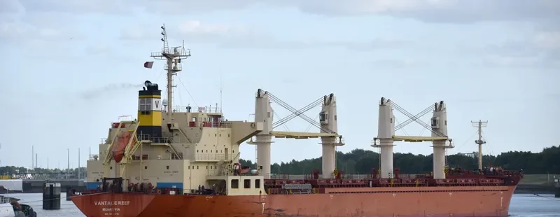 VANTAGE REEF Bulk Carrier IMO 9422495 photo 2