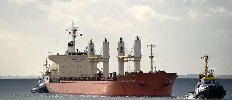 VANTAGE REEF Bulk Carrier IMO 9422495 photo 3