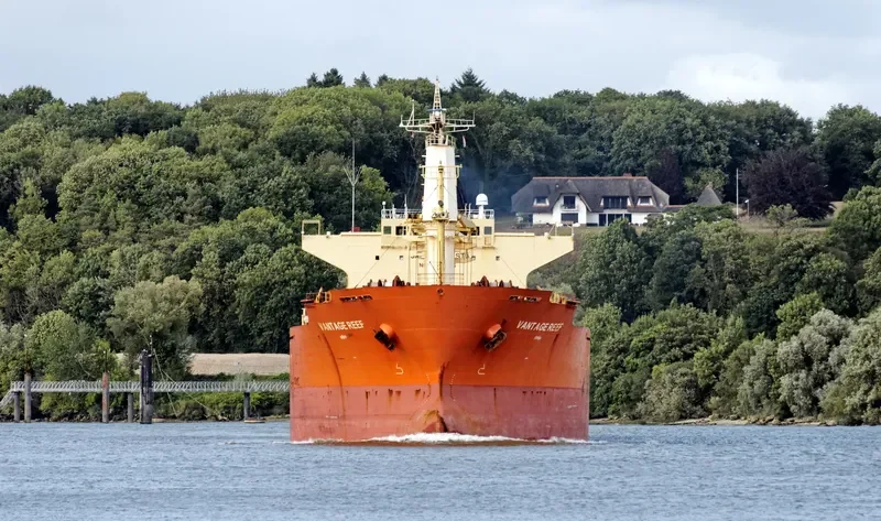 VANTAGE REEF Bulk Carrier IMO 9422495 photo 4