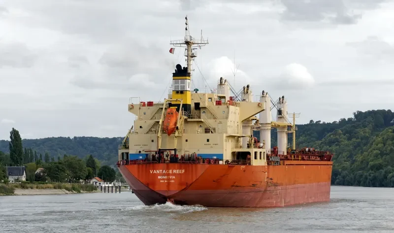 VANTAGE REEF Bulk Carrier IMO 9422495 photo 7
