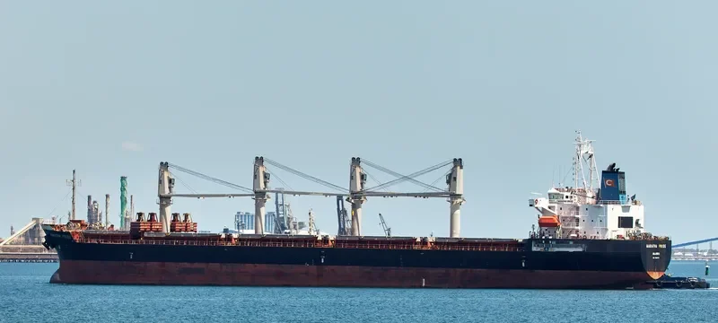 MARATHA PRIDE Bulk Carrier IMO 9422794 photo 3