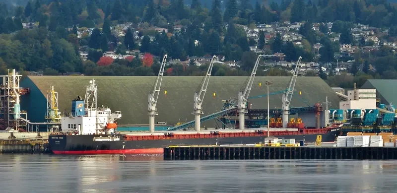 MARATHA PRIDE Bulk Carrier IMO 9422794 photo 10