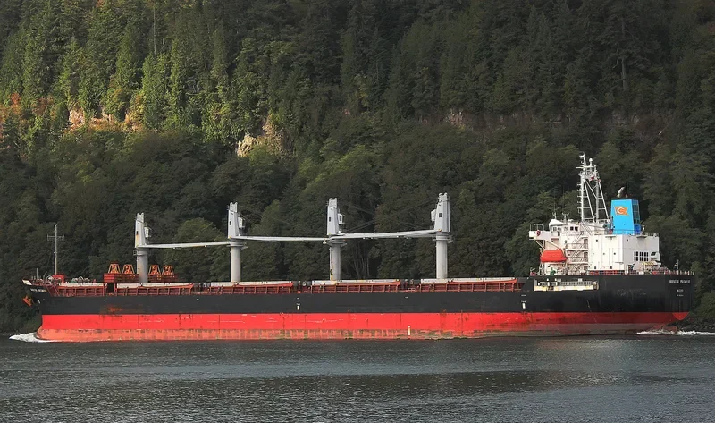 MARATHA PROMISE Bulk Carrier IMO 9422809 photo 2