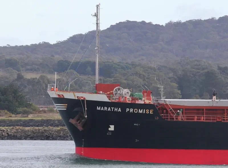MARATHA PROMISE Bulk Carrier IMO 9422809 photo 10