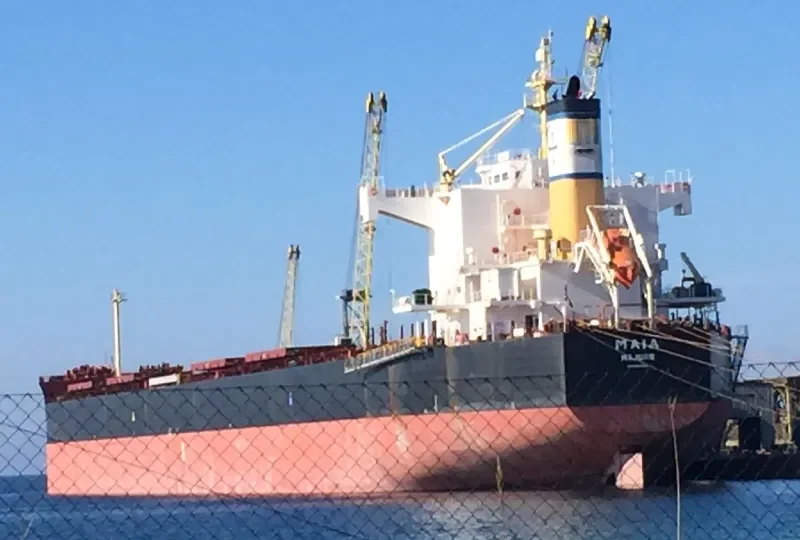 MAIA Bulk Carrier IMO 9422938 photo 2