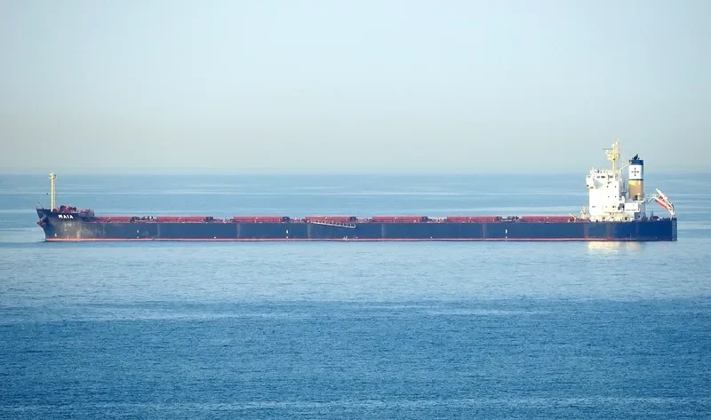 MAIA Bulk Carrier IMO 9422938 photo 3