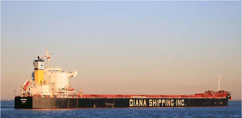 MYRSINI Bulk Carrier IMO 9422940 photo 3
