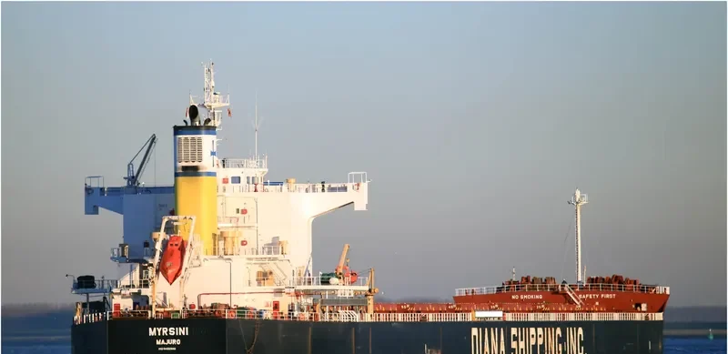 MYRSINI Bulk Carrier IMO 9422940 photo 4