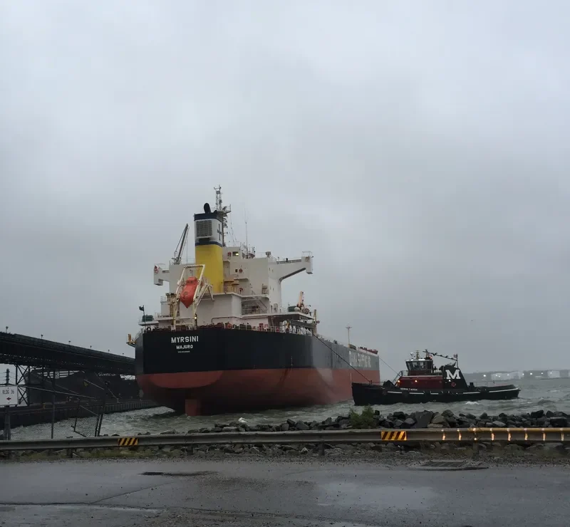 MYRSINI Bulk Carrier IMO 9422940 photo 6