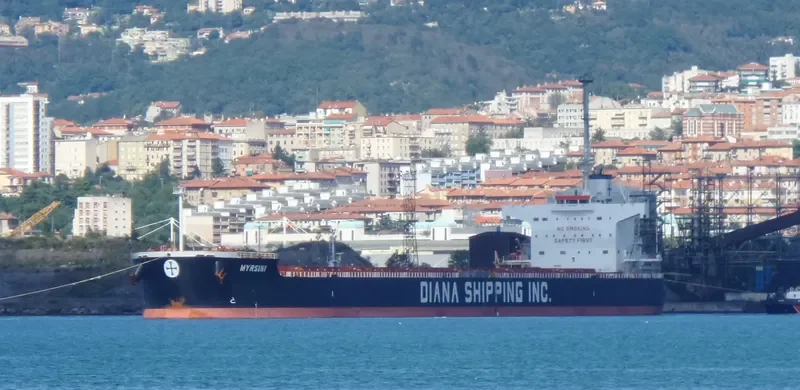 MYRSINI Bulk Carrier IMO 9422940 photo 7
