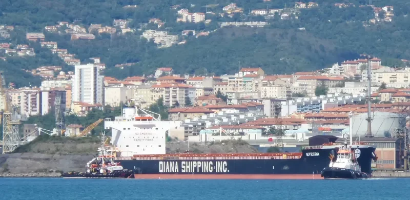 MYRSINI Bulk Carrier IMO 9422940 photo 8