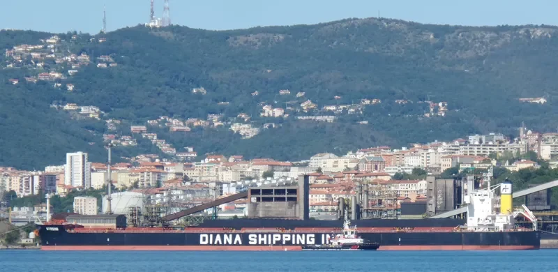 MYRSINI Bulk Carrier IMO 9422940 photo 9