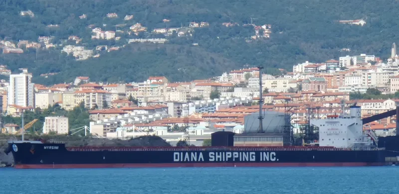 MYRSINI Bulk Carrier IMO 9422940 photo 10