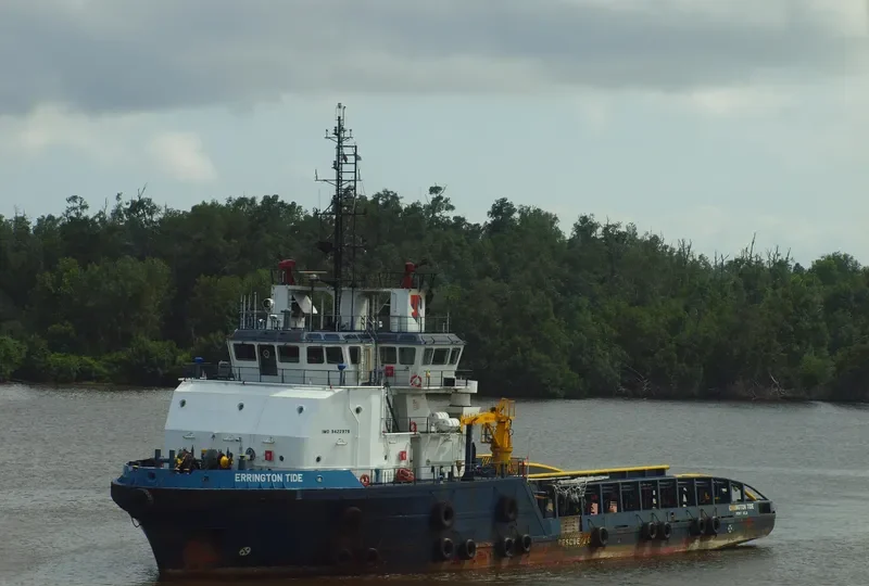 SEA BIRD Offshore Vessel IMO 9422976 photo 3