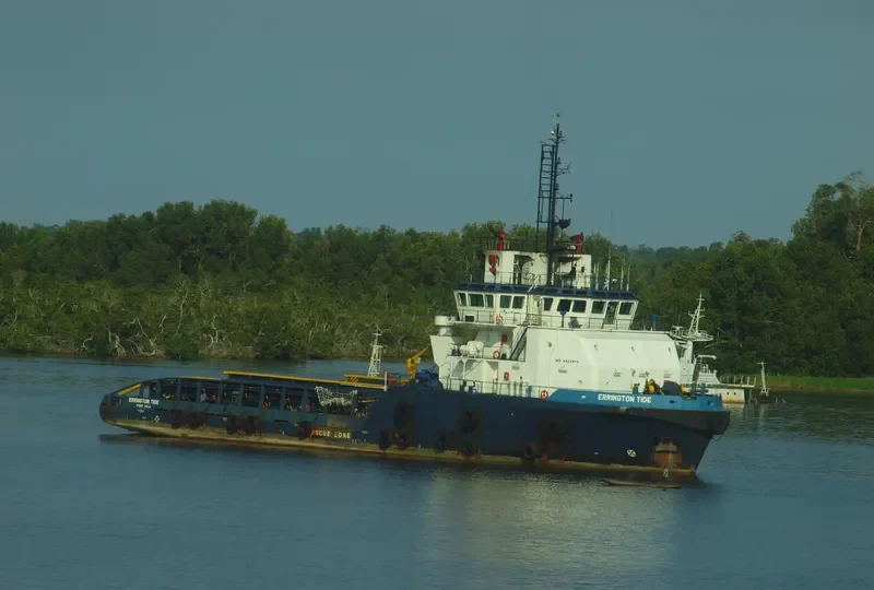 SEA BIRD Offshore Vessel IMO 9422976 photo 4