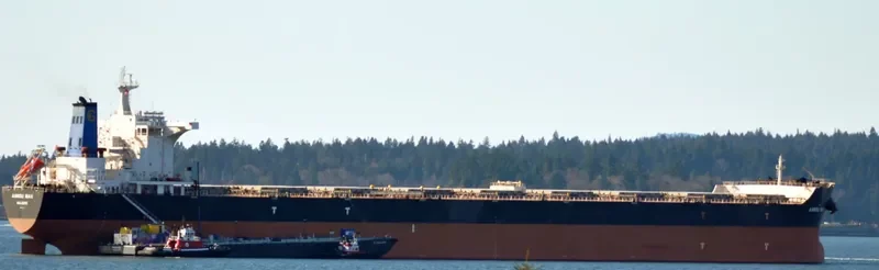 PIGASSOS Bulk Carrier IMO 9423073