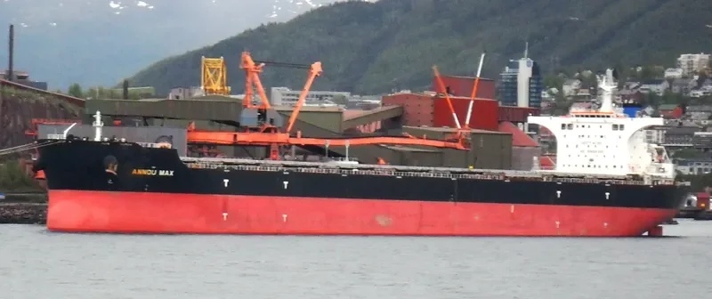 PIGASSOS Bulk Carrier IMO 9423073 photo 2